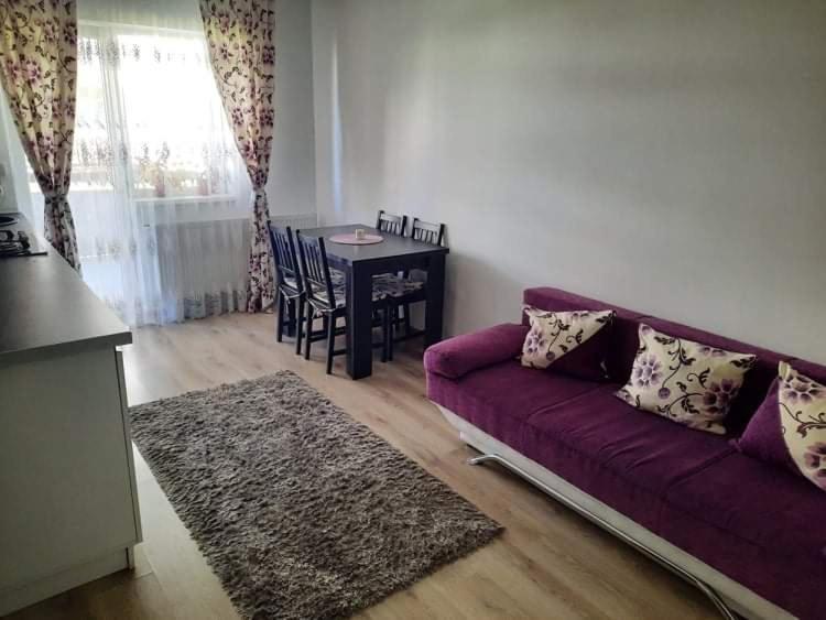 Apartment Diana Apartament Brasov