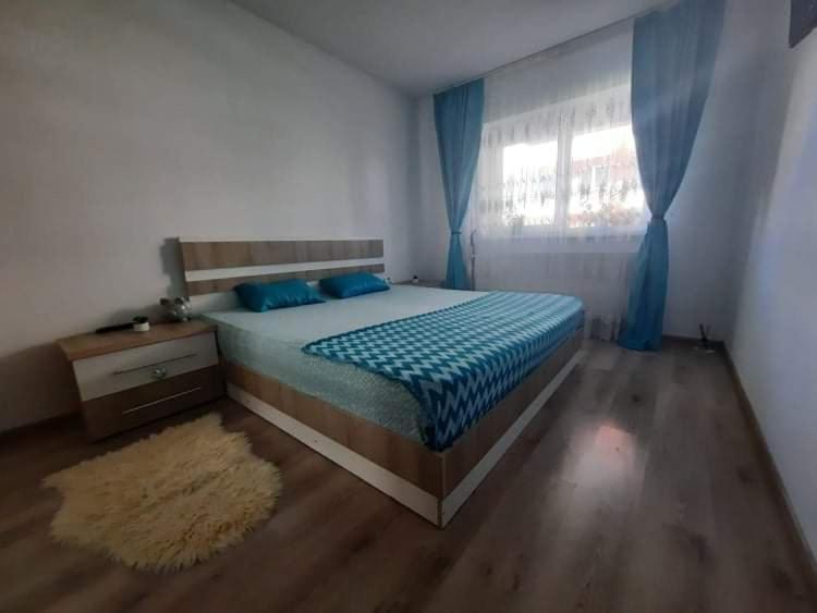 Diana Apartament Apartment
